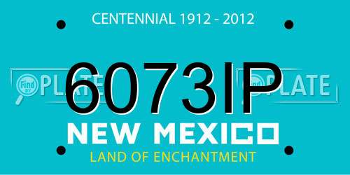 6073IP New Mexico License Plate