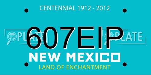 607EIP New Mexico License Plate