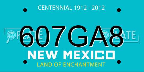 607GA8 New Mexico License Plate