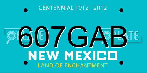 607GAB New Mexico License Plate