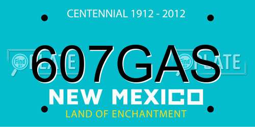 607GAS New Mexico License Plate