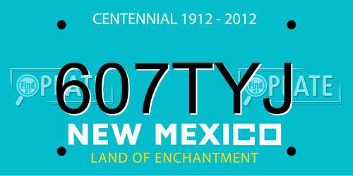 607TYJ New Mexico License Plate