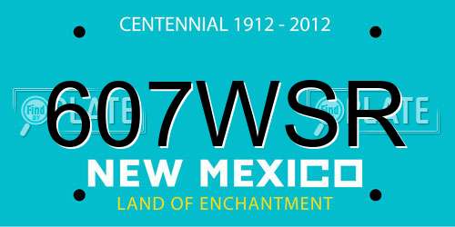 607WSR New Mexico License Plate