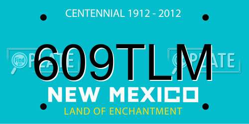609TLM New Mexico License Plate