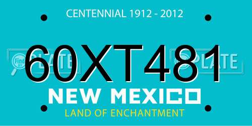 60XT481 New Mexico License Plate