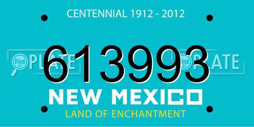 613993 New Mexico License Plate