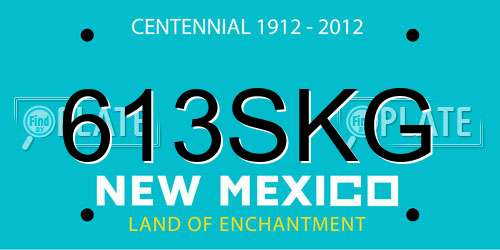 613SKG New Mexico License Plate