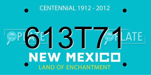 613T71 New Mexico License Plate