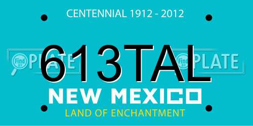 613TAL New Mexico License Plate