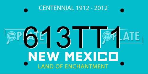 613TT1 New Mexico License Plate