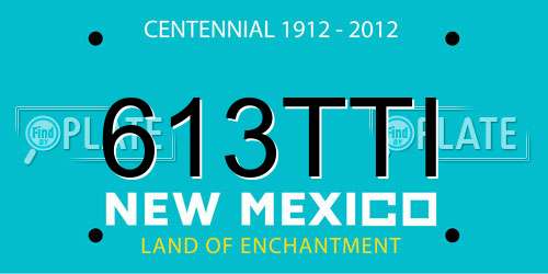 613TTI New Mexico License Plate