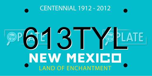 613TYL New Mexico License Plate