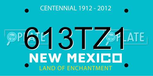 613TZ1 New Mexico License Plate