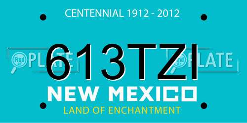 613TZI New Mexico License Plate