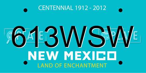 613WSW New Mexico License Plate