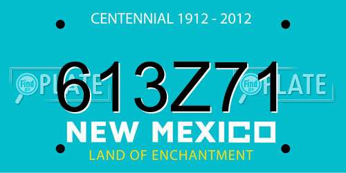 613Z71 New Mexico License Plate