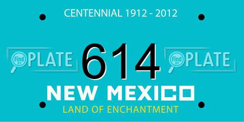 614 New Mexico License Plate