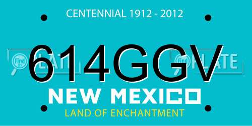 614GGV New Mexico License Plate