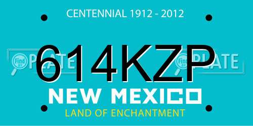 614KZP New Mexico License Plate
