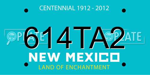 614TA2 New Mexico License Plate