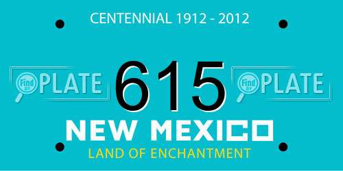 615 New Mexico License Plate