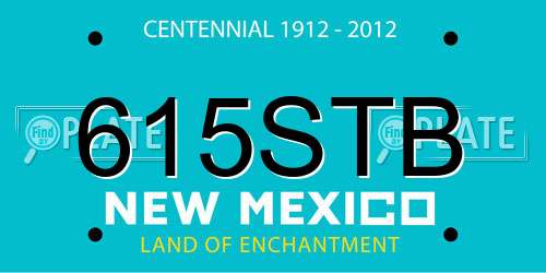 615STB New Mexico License Plate