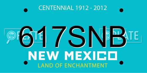 617SNB New Mexico License Plate