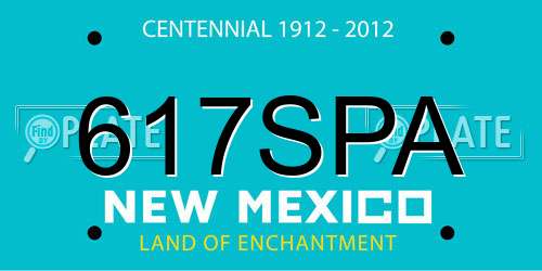 617SPA New Mexico License Plate