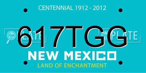 617TGG New Mexico License Plate