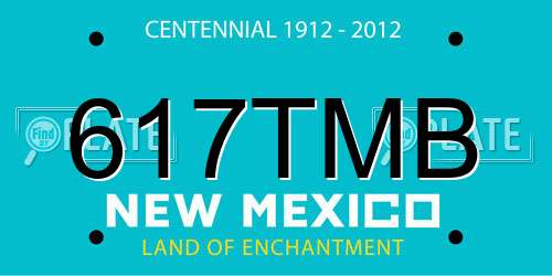 617TMB New Mexico License Plate