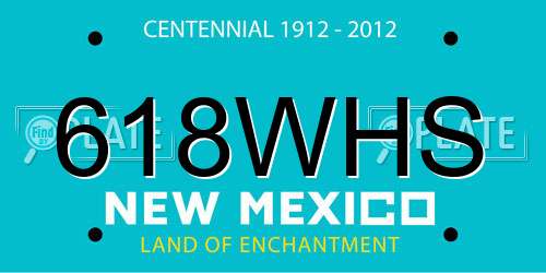 618WHS New Mexico License Plate