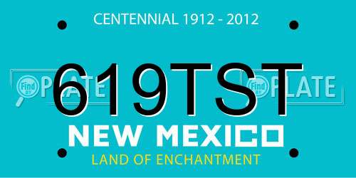 619TST New Mexico License Plate