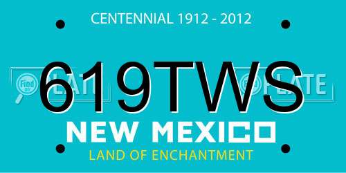 619TWS New Mexico License Plate