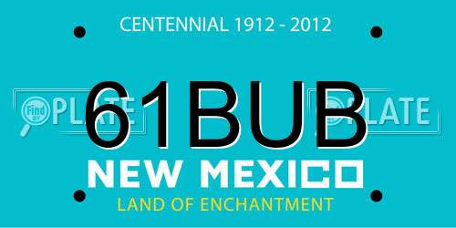 61BUB New Mexico License Plate