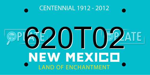 620T02 New Mexico License Plate