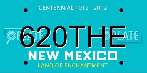 620THE New Mexico License Plate