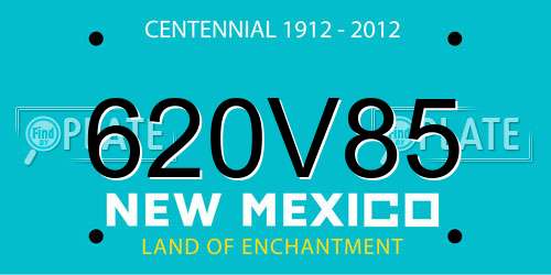 620V85 New Mexico License Plate
