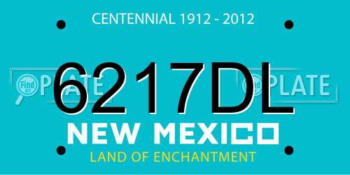 6217DL New Mexico License Plate