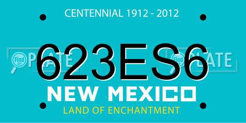 623ES6 New Mexico License Plate