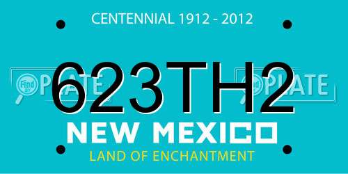 623TH2 New Mexico License Plate