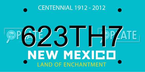 623TH7 New Mexico License Plate