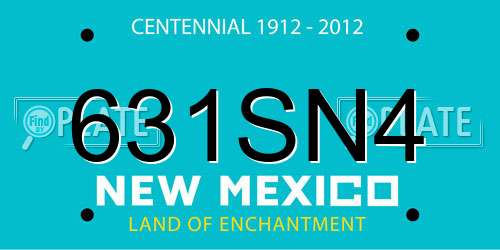 631SN4 New Mexico License Plate