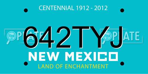 642TYJ New Mexico License Plate