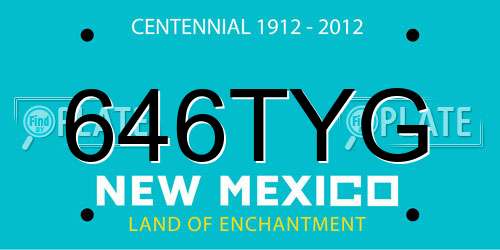646TYG New Mexico License Plate