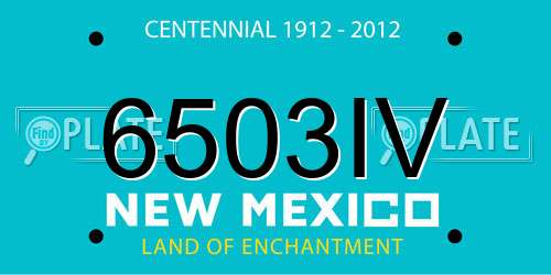 6503IV New Mexico License Plate