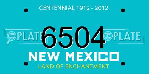 6504 New Mexico License Plate