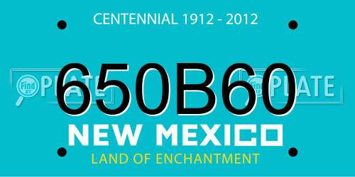 650B60 New Mexico License Plate
