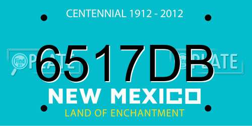6517DB New Mexico License Plate