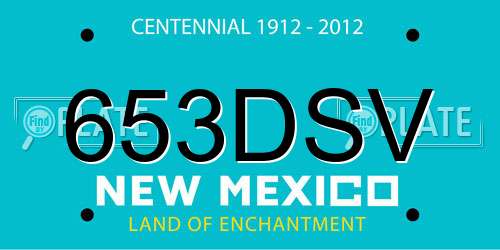 653DSV New Mexico License Plate