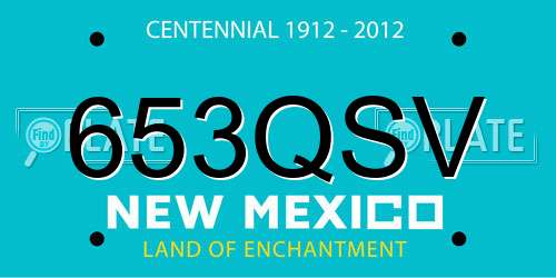 653QSV New Mexico License Plate